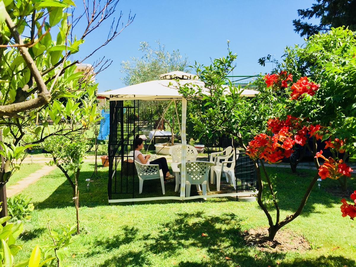 Apartments Flamingo Ulcinj Eksteriør billede