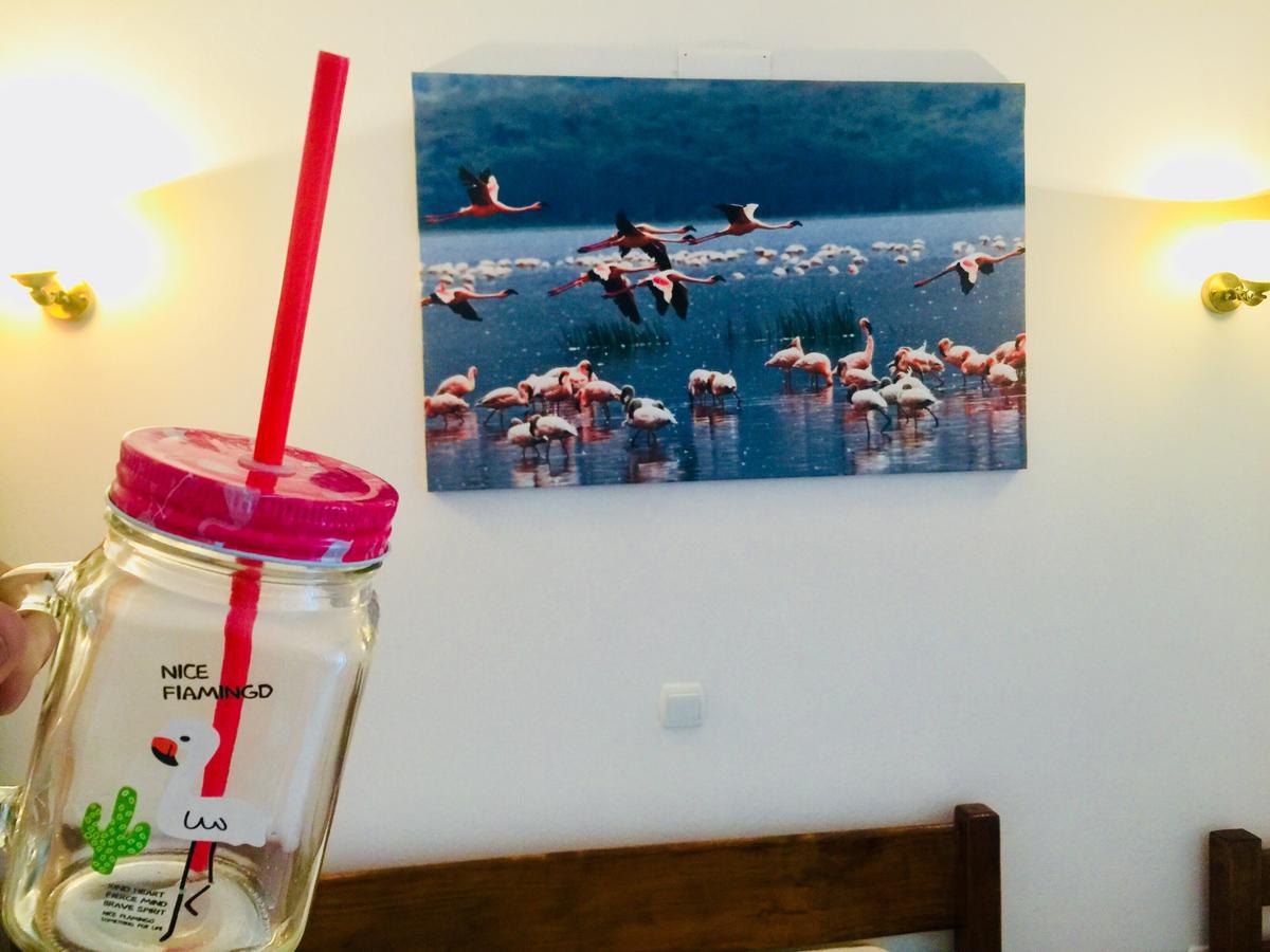 Apartments Flamingo Ulcinj Eksteriør billede